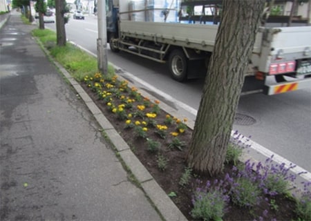 Participation in the creation of citizen flower beds