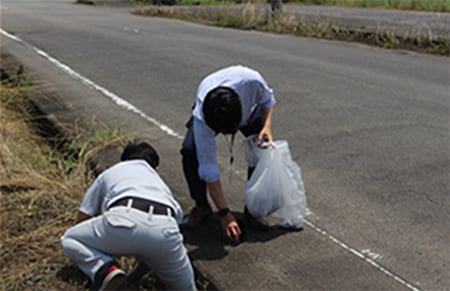 Implementation of community cleanup activities