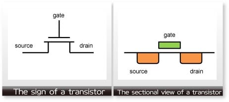 The sign of a transistor, The sectional view of a transistor
