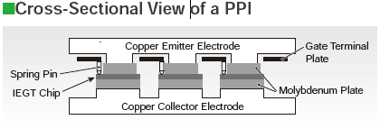 Cross-Sectional View Of a PPI