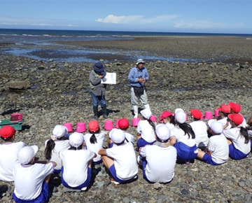 これは、近隣小学校との海の生物調査の画像です。