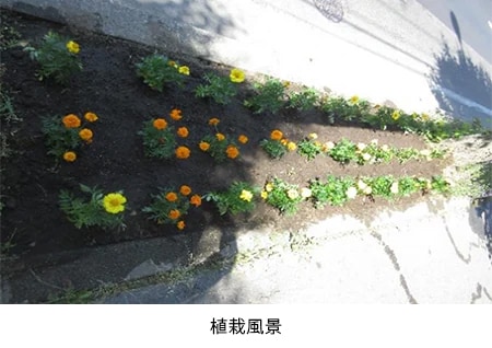 これは、市民花壇づくりへの参加の画像です。