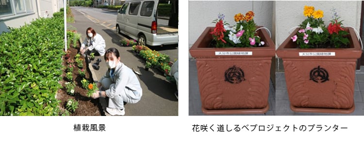 これは、花咲く道しるべ活動の画像です。