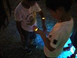Fireflies glowing in the hands of children / Japan Semiconductor Corporation  Oita Operations (Oita)