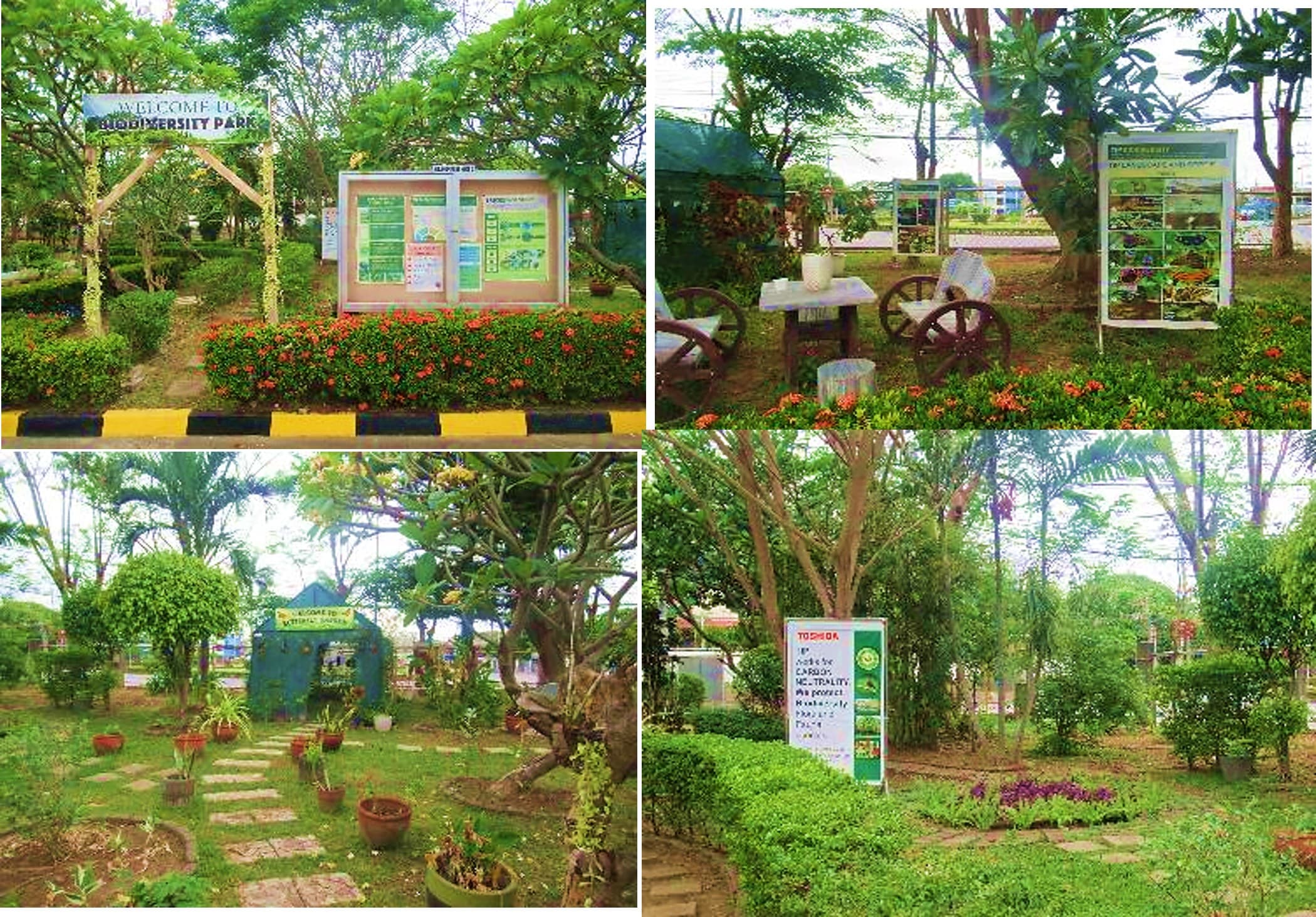 Various types of plants are grown and a small butterfly house is also set up