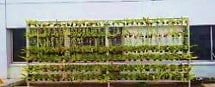Parallel wall gardens dampen heat, purify air, and reduce CO2 emissions