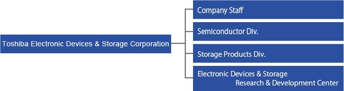 Management Structure