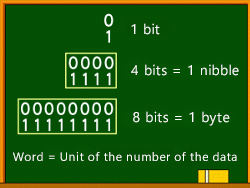 Unit of the binary data