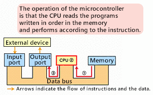 DIY Knowledge - Rated input, output